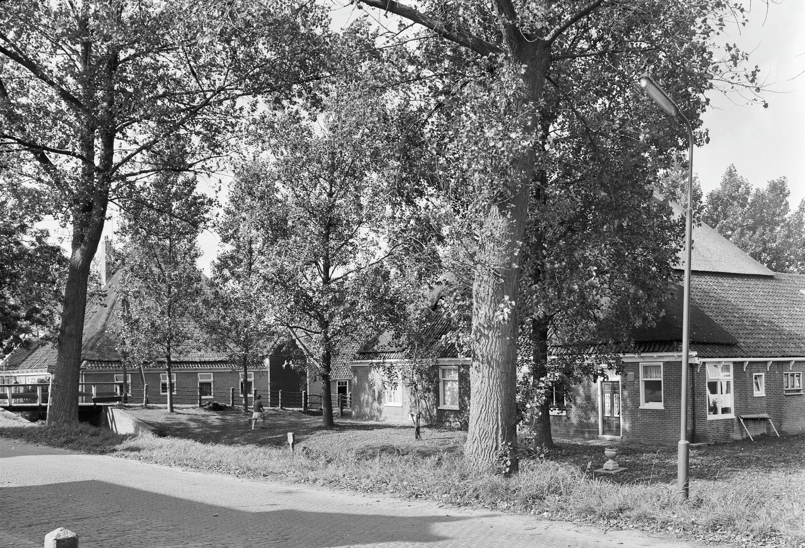 Aanzicht van de monumentale stolpboerderijen aan de Heerenweg 19-21 langs de wegsloot de Mient in Barsingerhorn (augustus 1968)