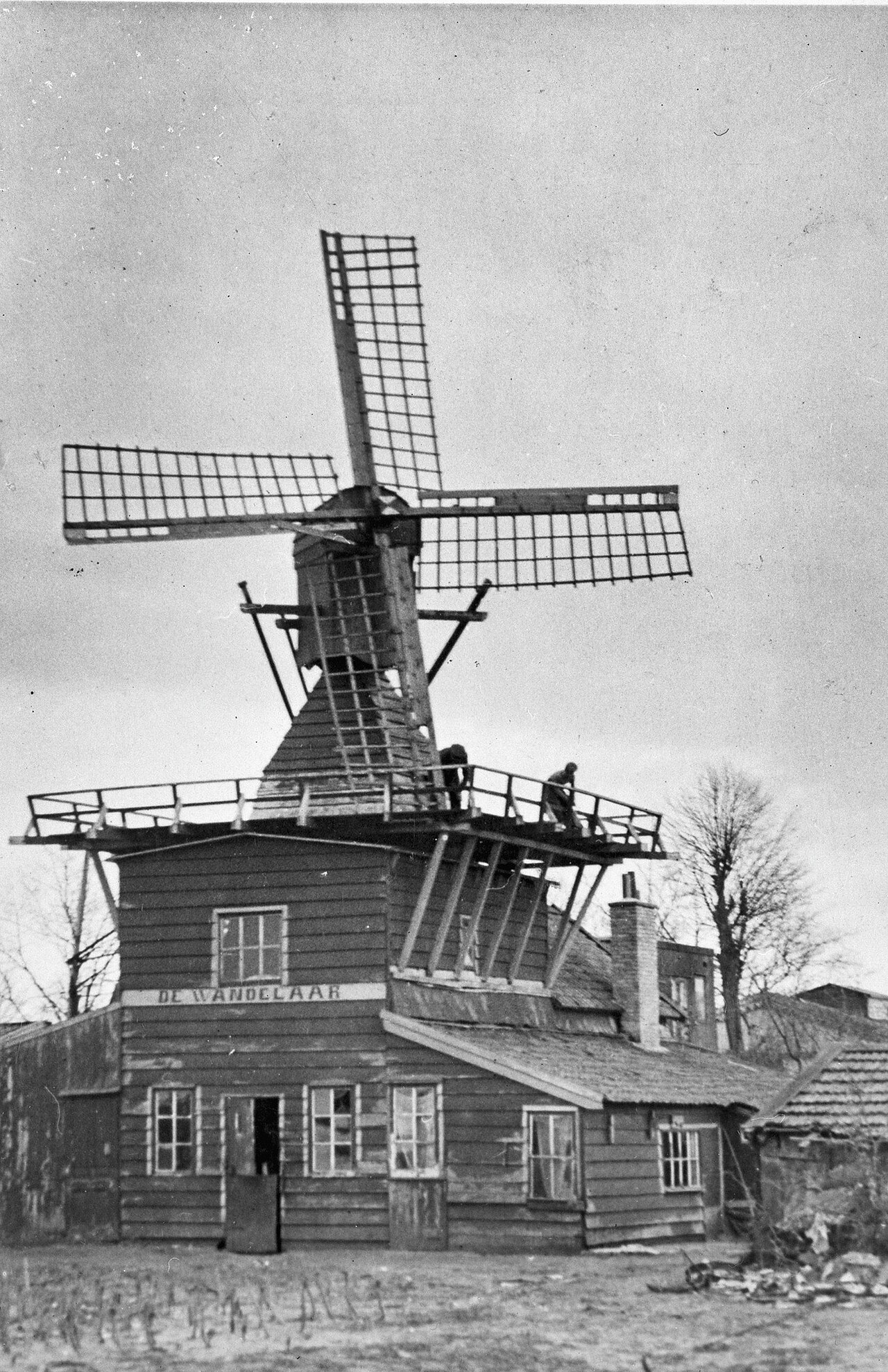 Historische opname van stellingmolen De Wandelaar in Bussum, herinnerend aan het molenverleden waarnaar de veld- en straatnamen rond de Meulenwiekelaan verwijzen (collectie RCE, 1950)