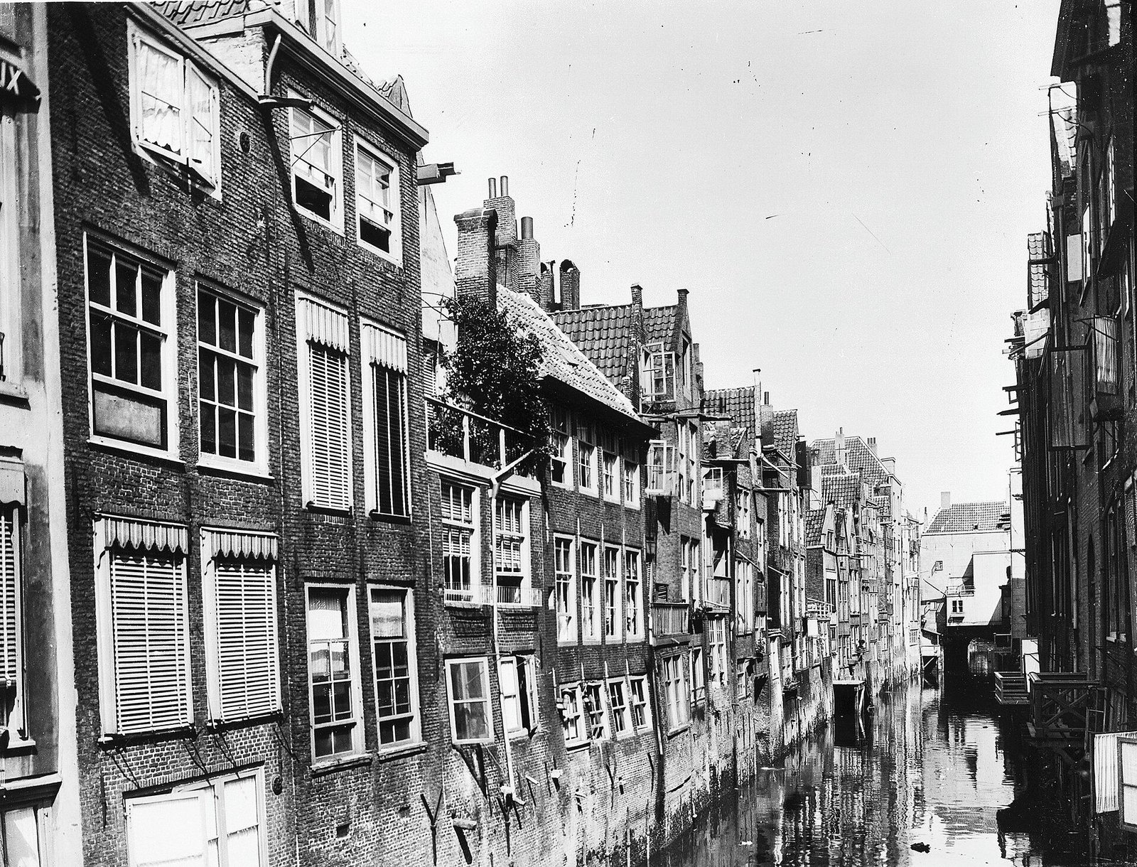 De Voorstraatshaven met de achtergevels van de huizen aan de Groenmarkt en de Voorstraat, 1930.