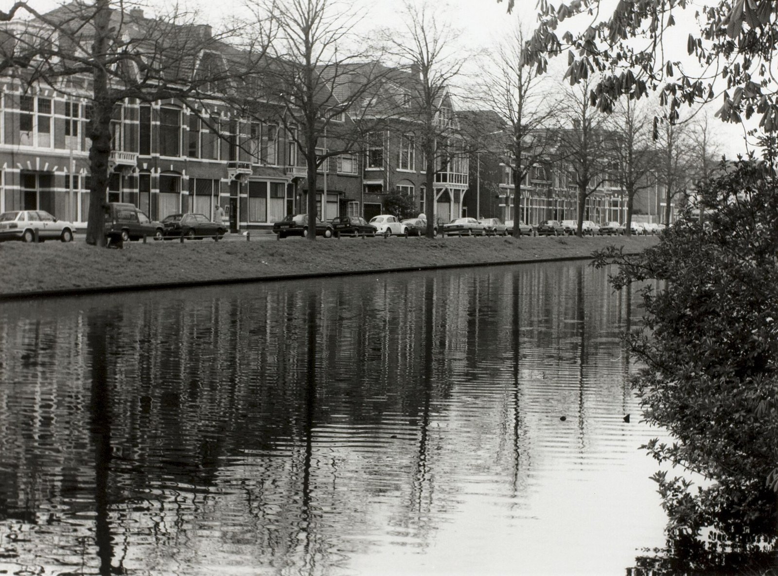 De Zoeterwoudsesingel tussen de Herenstraat en de Lammenschansweg, 1989.