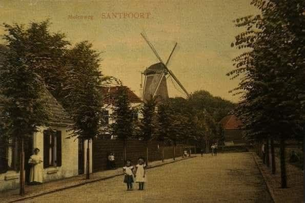 Ingekleurde ansichtkaart van de Molenstraat met molen De Zandhaas aan het eind van de straat, begin twintigste eeuw (jaar onbekend).
